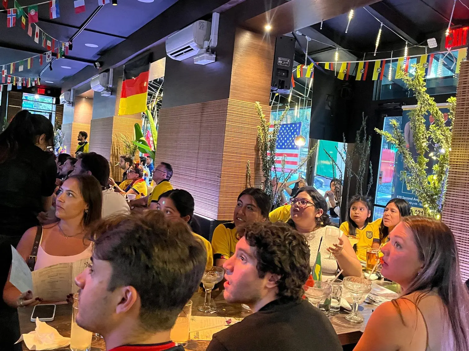 Ecuador Fans Gathered for a FIFA World Cup Watch Party in Long Island City. Fans watched the match together while celebrating Ecuadorian culture and community.