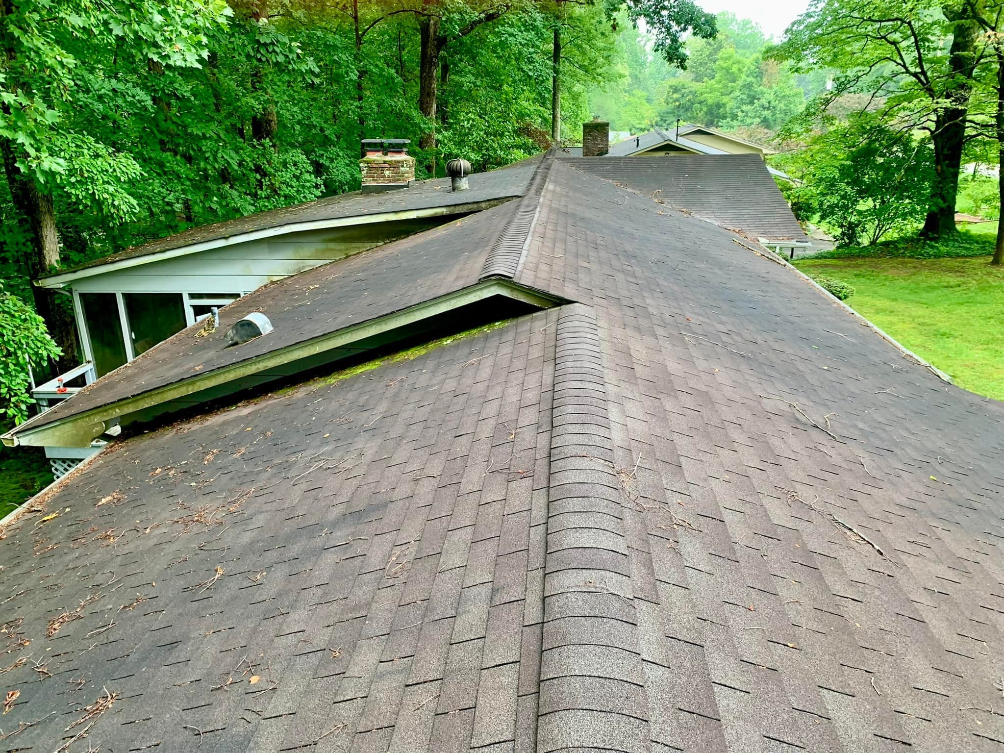 Roof Cleaning