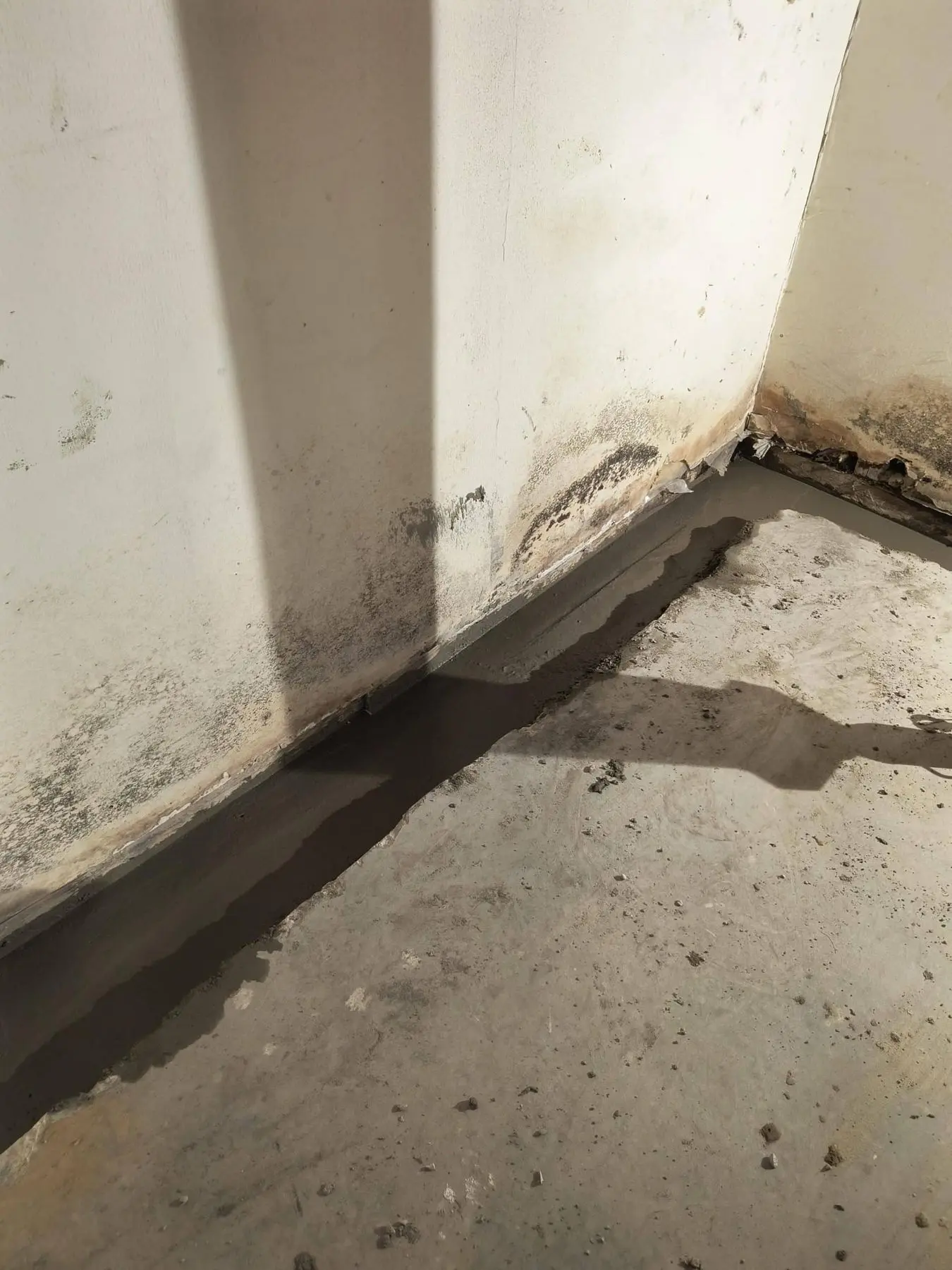 Interior basement corner with fresh concrete trench for drainage installation, visible water damage and mold on walls, emphasizing waterproofing solutions.