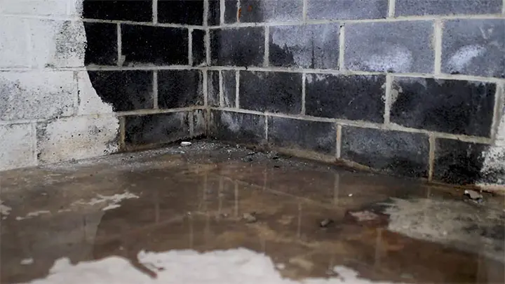 Water-damaged basement corner showing wet floor and mold growth on concrete walls, illustrating common causes of basement leaks and the need for professional waterproofing solutions.