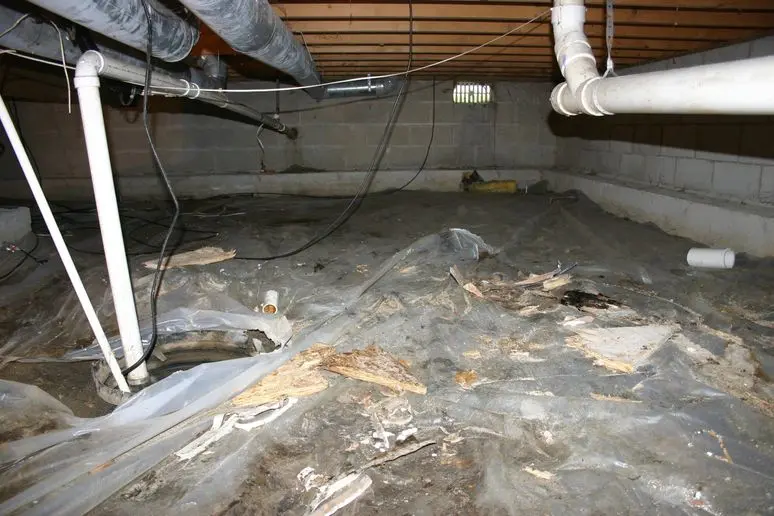 Basement repair Contractors