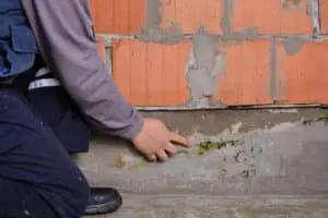 Person inspecting basement wall for mold and moisture damage, highlighting the importance of addressing foundation cracks for air quality and structural integrity.