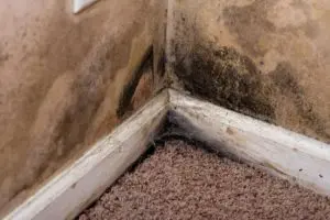 effective-basement-waterproofing-basement-repair-specialists-1