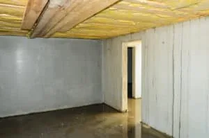 Wet basement