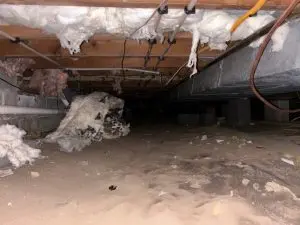 damp crawl space with dirt floor and exposed insulation causing moisture and air quality problems