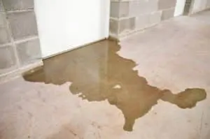 Water damage in basement caused by sewer backflow due to clogged drain