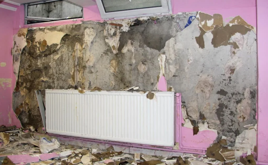 Five Symptoms of Basement Trouble