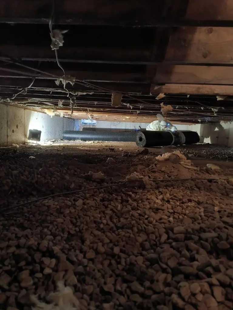 Signs of Crawlspace Moisture: How to Prevent Sagging Floors & Wood Rot