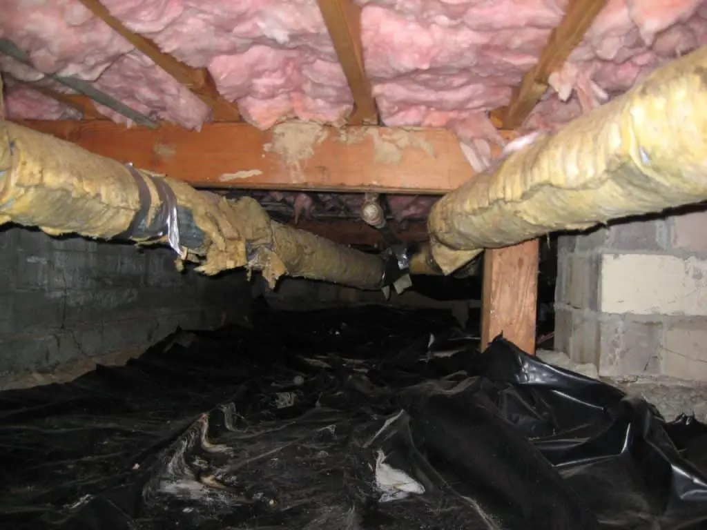 Questions to Ask Your Crawlspace Waterproofing Contractor