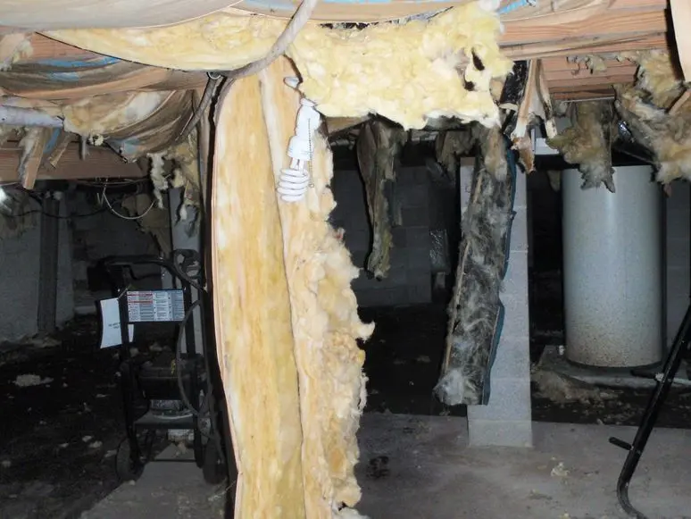 Crawlspaces