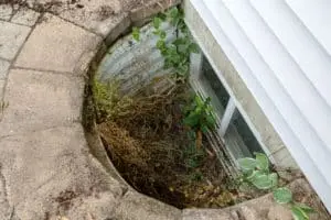 Egress window well with overgrown vegetation and dirt, illustrating the need for proper installation and maintenance for basement safety and compliance.