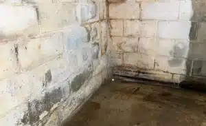 professional-basement-waterproofing-basement-repair-specialists-1