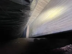 Encapsulated crawl space in Nineveh, IN showing treated wooden joists after mold remediation and moisture control work.