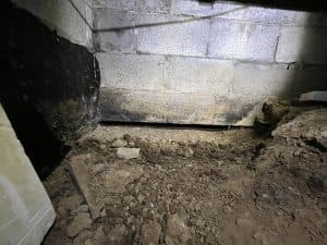 Dirt crawl space with exposed earth, a concrete block wall, and a visible gap at the base. The scene conveys a sense of neglect and vulnerability.