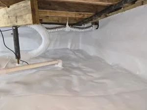 Encapsulated crawl space with white vapor barrier, drainage system, and sealed foundation for moisture control