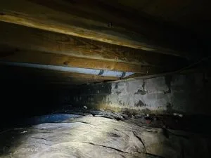 Damp crawlspace in Indianapolis home with exposed soil, sagging vapor barrier, and visible moisture along foundation walls