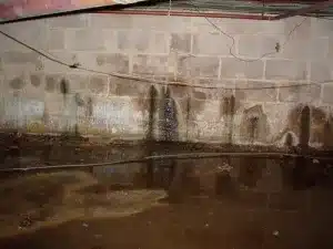 mold removal