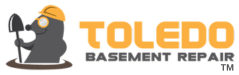 toledo basement repair tm
