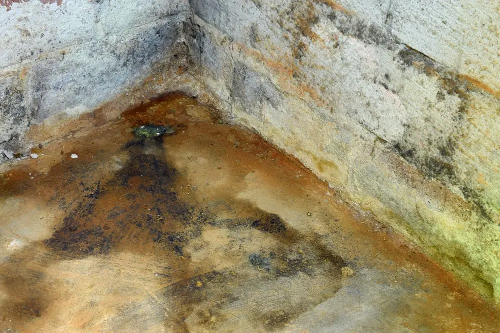 Mold-removal