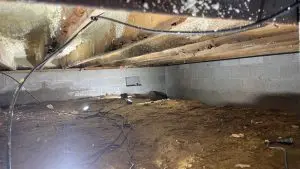 Crawl space interior showing exposed soil, wooden beams, and electrical wiring, highlighting the need for encapsulation to improve air quality and energy efficiency in Toledo homes.