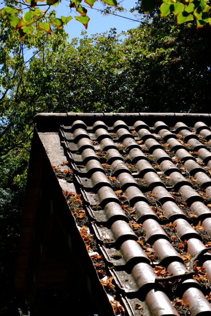 Roof with clogged gutters and leaves buildup causing potential drainage and water damage issues