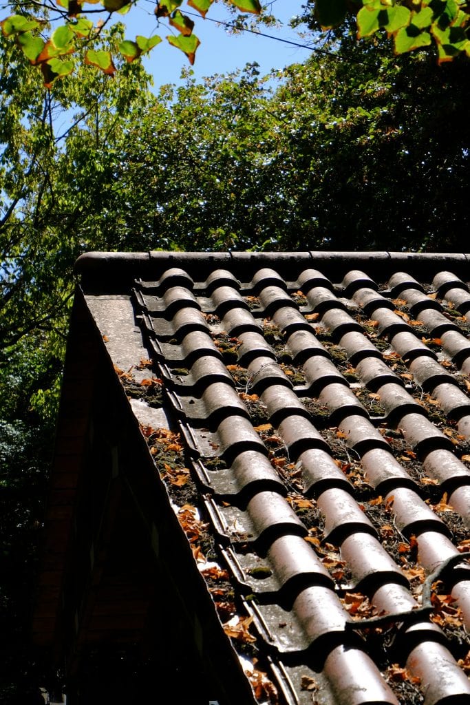 Roof with clogged gutters and leaves buildup causing potential drainage and water damage issues