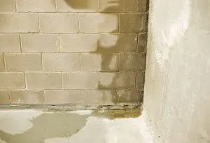 A basement corner with water stains on concrete blocks, dark discoloration from moisture, and a wet floor, indicating potential dampness issues.