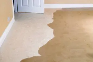 seepage-repair