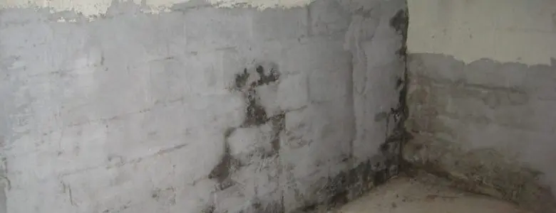 basement moisture problems maryland (2)