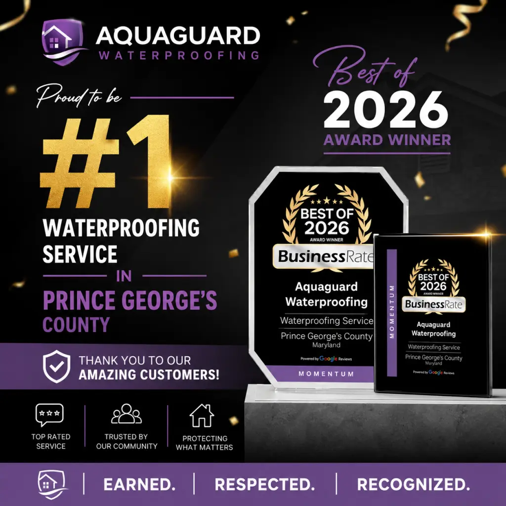 Best of 2026 Aquaguard Waterproofing