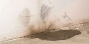 water-seepage-basement-wall-beltsville-md-aquaguard-waterproofing