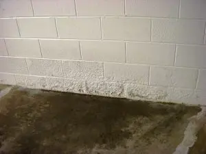 basement-waterproofing-services-aquaguard-waterproofing-2