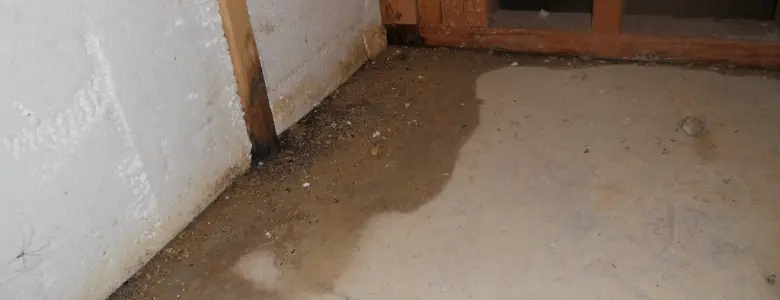 Wet Basements | Beltsville, MD | AquaGuard Waterproofing