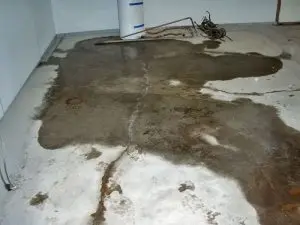 basement-moisture