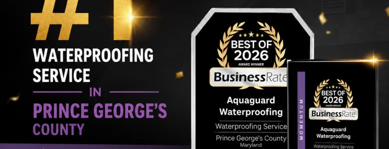 Best of 2026 Aquaguard Waterproofing