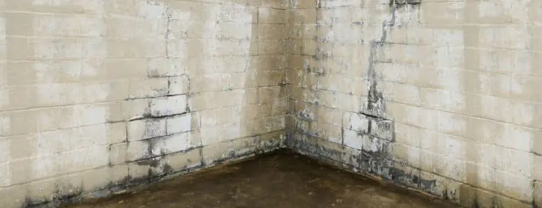waterproofing-the-basement-beltsville-md-aquaguard-waterproofing-3