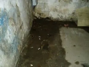 basement-waterproofing-beltsville-md-aquaguard-waterproofing-2