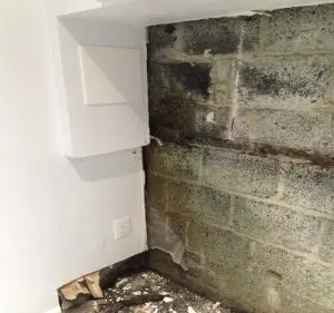 basement moisture problems maryland (1)