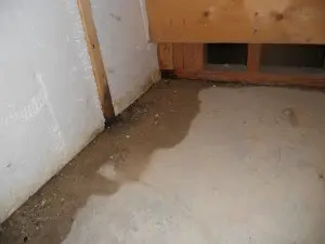 wet-basement-beltsville-md-aquaguard-waterproofing-1