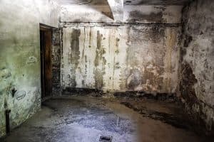 Basement Waterproofing