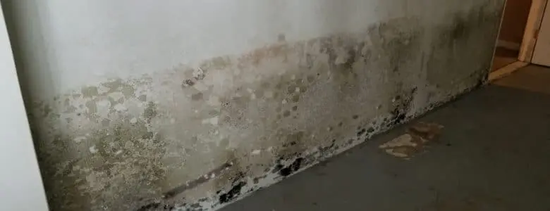 black-mold-walls-falls-church-va-aquaguard-waterproofing