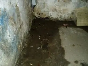waterproofing-a-crawlspace-silver-spring-md-aquaguard-waterproofing-2