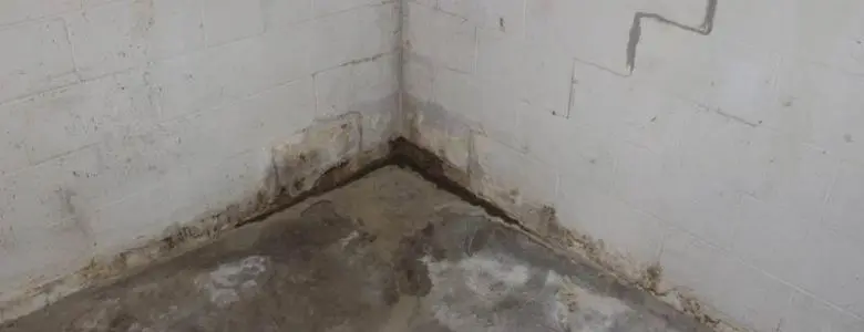 basement-waterproofing-services-aquaguard-waterproofing-1