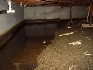 Flooded basement with murky water, debris on gravel floor, and exposed pipes along the ceiling. The scene conveys a sense of neglect and damage.