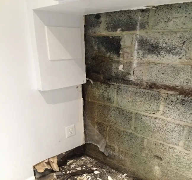 basement moisture problems maryland (1)
