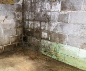 basement-waterproofing-aquaguard-waterproofing-3