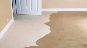 basement-flooding-aquaguard-waterproofing-1