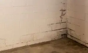 water-seeping-into-your-basement-beltsville-md-aquaguard-waterproofing-2