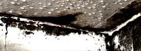 Basement Mold Baltimore