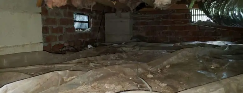 Crawlspace Waterproofing | Washington, D.C. | AquaGuard Waterproofing